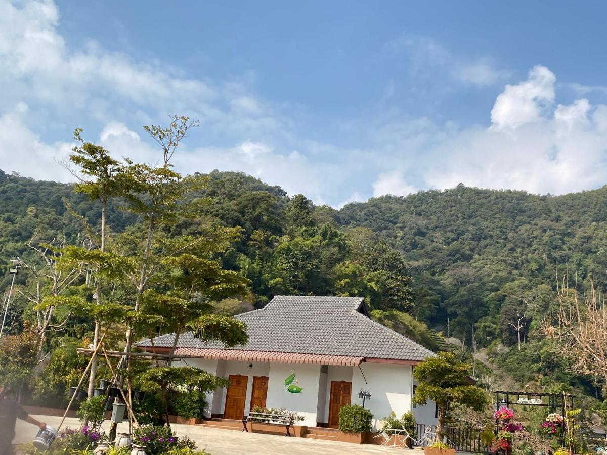 Thai Tea Garden Home Chiang Rai Buitenkant foto